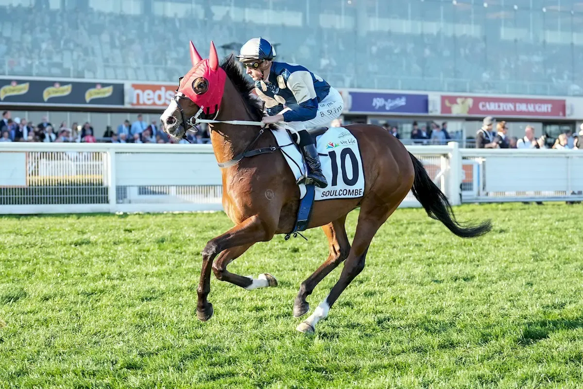 Soulcombe Kejar Tiket Melbourne Cup Lewat Bendigo Cup, Sorotan dari South Melbourne