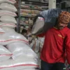 Stok Beras 25 Juta Ton, Pemerintah Klaim Aman hingga Juli 2027